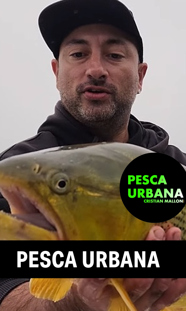 pesca urbana